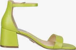 STEVE MADDEN Sandaal 'Low Tide' -Damesschoenen 0a6a6081eb3ac2e5521a1c46dffe28ee